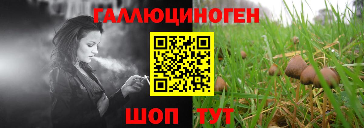 Галлюциногенные грибы Psilocybine cubensis  Вход с VPN  Зеленодольск 